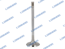 L68.2052 Deutz Engine Valve 1012E